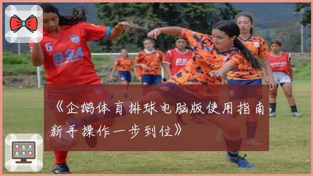 《企鹅体育排球电脑版使用指南,新手操作一步到位》