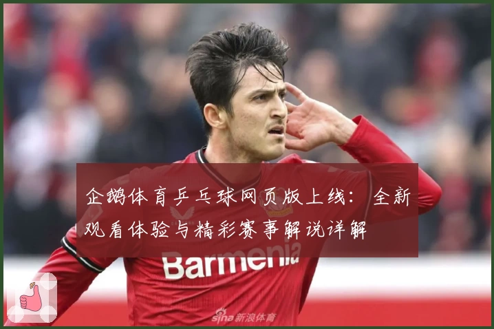 企鹅体育乒乓球网页版上线：全新观看体验与精彩赛事解说详解