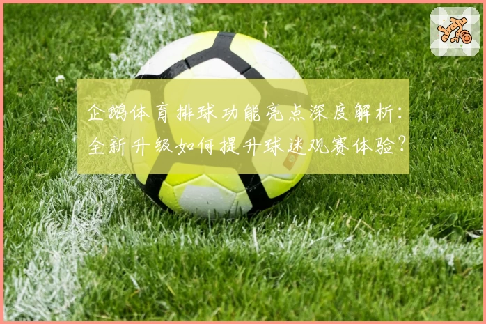 企鹅体育排球功能亮点深度解析：全新升级如何提升球迷观赛体验？