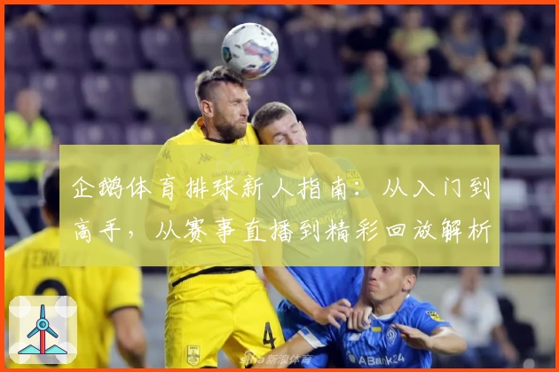 企鹅体育排球新人指南：从入门到高手，从赛事直播到精彩回放解析