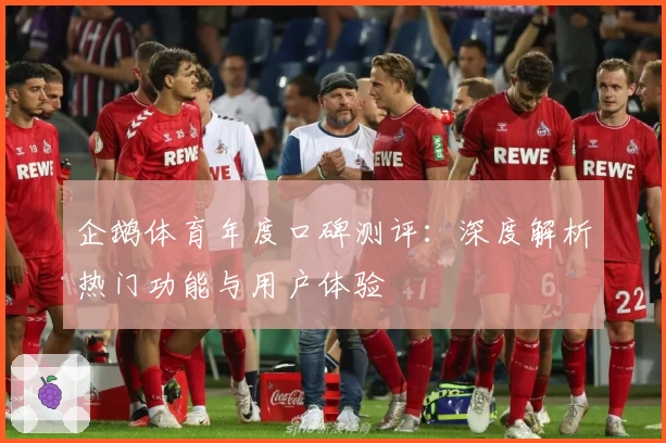 企鹅体育年度口碑测评：深度解析热门功能与用户体验