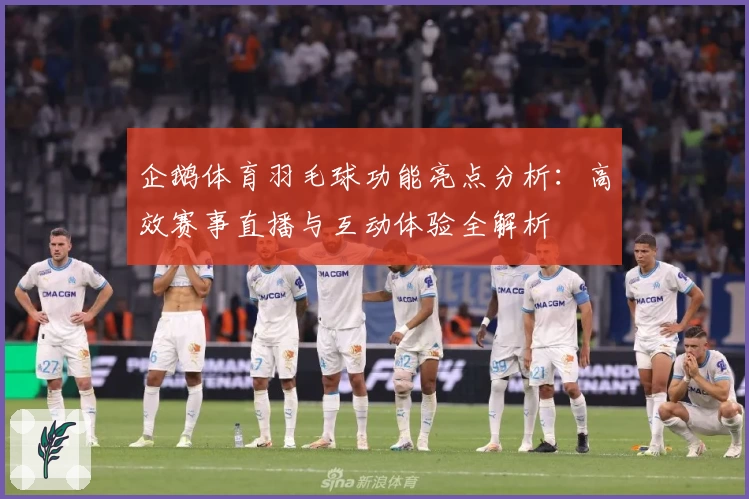 企鹅体育羽毛球功能亮点分析:高效赛事直播与互动体验全解析