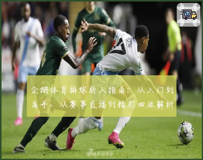 企鹅体育排球新人指南：从入门到高手，从赛事直播到精彩回放解析